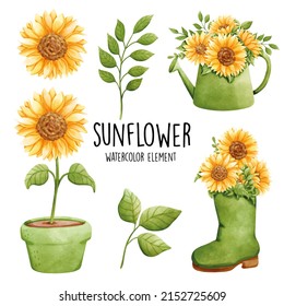 Watercolor sunflower, summer. Vector illustration