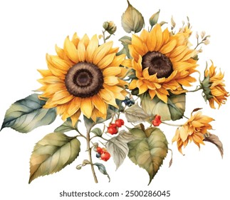 Watercolor sunflowers with green leaves bouquet flower hand painted illustration.