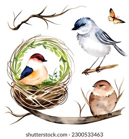 a watercolor swallow birds nest vector illustration