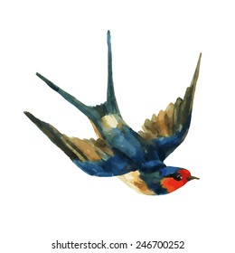 Watercolor Swallow on white background. Hand painted vector illustration