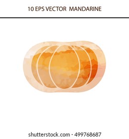 Watercolor tangerine, orange or mandarin, flat icon for apps and websites isolated on white background
