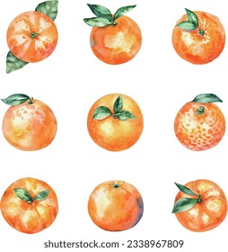 Watercolor tangerine and satsuma set. Hand drawn illustration isolated on white background