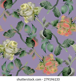 Watercolor Tea Roses seamless pattern on purple background vector illustration