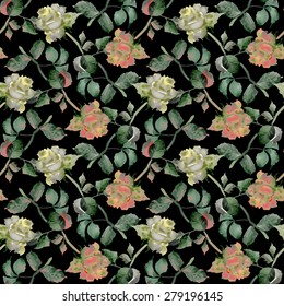 Watercolor Tea Roses seamless pattern on black background vector illustration