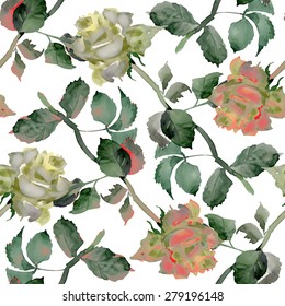 Watercolor Tea Roses seamless pattern on white background vector illustration