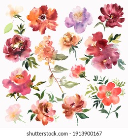 Watercolor texture. Flowers hand drawn colorful beautiful floral set with yellow pink red blossom plant for cards prints and invitation. Vector