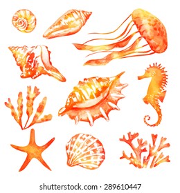 Watercolor texture. Vector sea background with golden seashells and jellyfish.