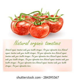 Watercolor tomato branch banner illustration