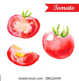 Watercolor tomato. Vector isolated illustration on white background. Illustration for cooking site, menus, books.
