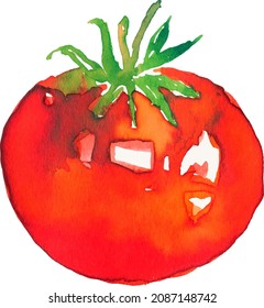 watercolor tomato vector. Red vegetables, natural food