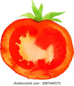 watercolor tomato vector. Red vegetables, natural food