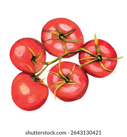 Aquarela ramo de tomates, vetor legumes ilustração de comida isolada no fundo branco, ótimo para cartões, banners de mercado, cabeçalhos ou decorar seu trabalho de arte.