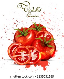 Watercolor tomatoes Vector. Delicious design with colorful stains handrawn