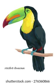 Watercolor toucan bird sitting on a branch. Vector illustration