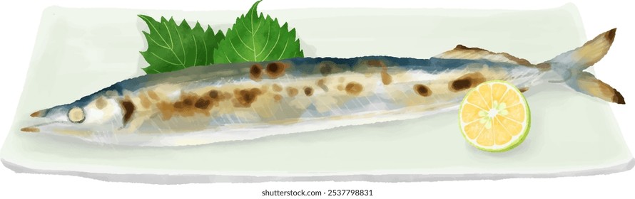 Watercolor touch Grilled saury on a plate with kabosu