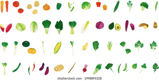 Watercolor touch vegetable illustration set