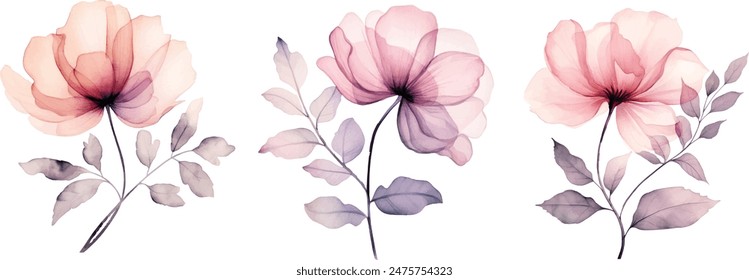 Conjunto de rosas translúcidas de acuarela . Ilustración de flor botánica. Flor prensada con dibujo de hojas aisladas