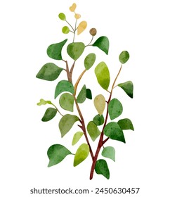 Watercolor tree branch. Hand drawn bush. Watercolor woodland. Watercolor nature element