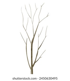 Watercolor tree branch. Hand drawn tree. Watercolor woodland. Watercolor nature element