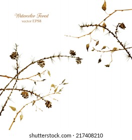 watercolor tree branches with leaves and pine cones, hand drawn vector illustration