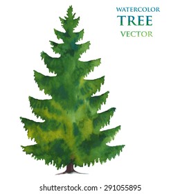 Watercolor tree. Christmas tree