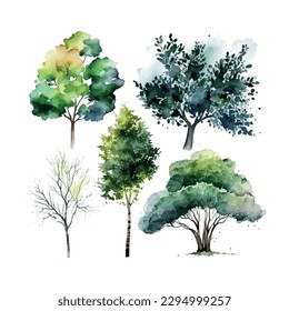 Watercolor tree hand draw vector nature painting