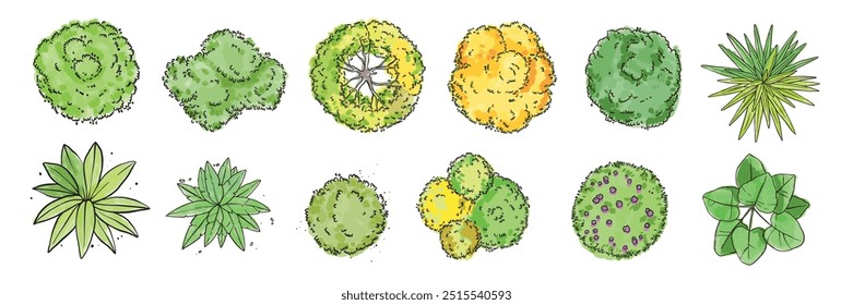 Watercolor tree icon set top view, hand drawn yellow vector bush, green architecture map design kit. Garden park abstract sign, nature environment plan landscape layout object. Flat tree top crown art