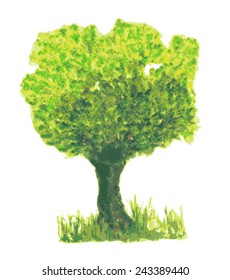 Watercolor tree isolated on white background, vector illustration