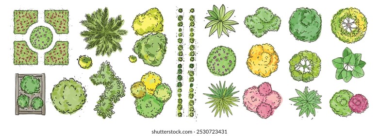 Conjunto de vista superior árvore aquarela, kit de objeto de mapa de copa de arbusto vetorial, projeto de planta de paisagem de arquitetura. Sinal plano do ambiente do jardim, ilustração exterior da natureza floral da primavera. Elementos de árvore aquarela