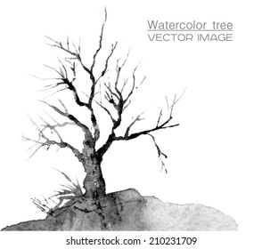 Watercolor tree. Vector image