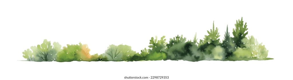 Watercolor trees and bushes isolated on white background. Gorizontal bar element, divider, separator, footer for your design. Vector illustration.