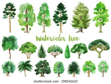 Watercolor trees collection
