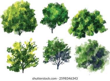 Watercolor Trees Vector Set Isolated on White Background