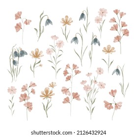 Watercolor trendy flowers 