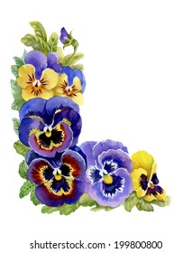 Watercolor Tricolor violets vector