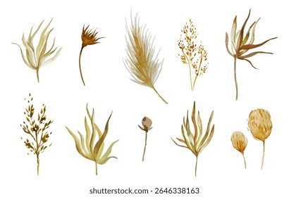 Watercolor tropical boho set with dried pampas grass and palm leaves. Hand painted exotic dry leaves. Floral illustration for design, print, fabric, greeting, wedding invitation cards. Vector isolated