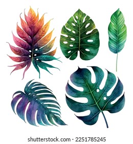 Watercolor tropical floral illustration set with green leaves for wedding stationary, greetings, wallpapers, fashion, backgrounds, textures, DIY, wrappers, postcards, logo, etc.