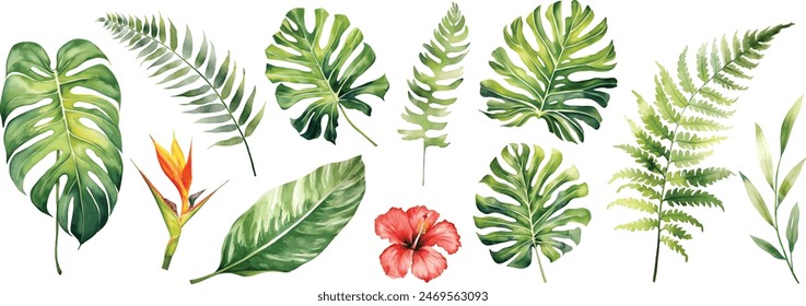 Watercolor tropical floral illustration set with green leaves for wedding stationary, greetings, wallpapers, fashion, backgrounds, textures