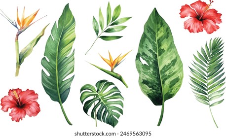 Watercolor tropical floral illustration set with green leaves for wedding stationary, greetings, wallpapers, fashion, backgrounds, textures