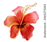 Watercolor tropical flower. Floral illustration. Exotic flower. Watercolor orchid