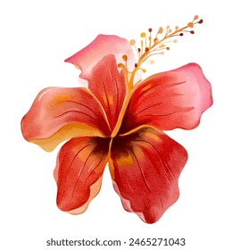 Watercolor tropical flower. Floral illustration. Exotic flower. Watercolor orchid