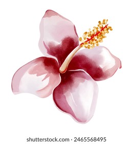 Watercolor tropical flower. Floral illustration. Exotic flower. Watercolor orchid