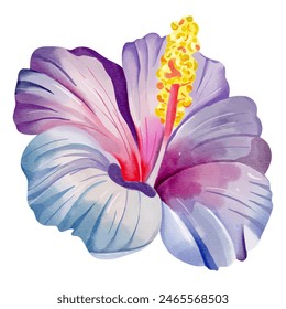 Watercolor tropical flower. Floral illustration. Exotic flower. Watercolor orchid