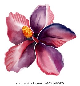 Watercolor tropical flower. Floral illustration. Exotic flower. Watercolor orchid