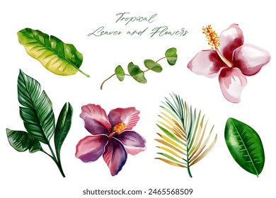 Watercolor tropical flowers and leaves. Set of exotic leaves. Palm leaves. Hand drawn floral illustration. 