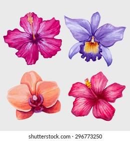 Watercolor Tropical Flowers. Vector Illustration.