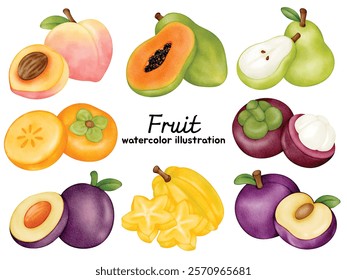 Watercolor Tropical Fruit Clip Art Set - Collection of Hand-painted Fruits Including Peach, Papaya, Pear, Persimmon, Mangosteen, Plum, Starfruit, and Santol - Perfect for Kitchen Decor, Recipe Books, 