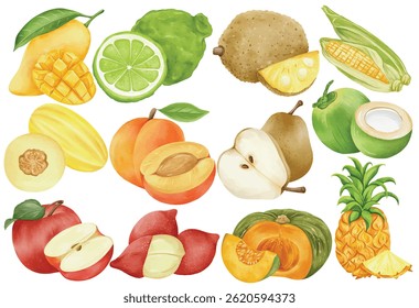 Watercolor Tropical Fruit Clip Art Set Hand Painted Mango Apple Coconut Pineapple Corn Pear Pumpkin Peach Illustration
