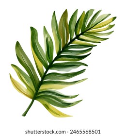 Hoja tropical de acuarela. Follaje exótico. Ilustración floral. Selva de acuarela