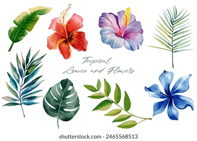 Watercolor tropical leaves and flowers. Set of exotic leaves. Palm leaves. Hand drawn floral illustration. 